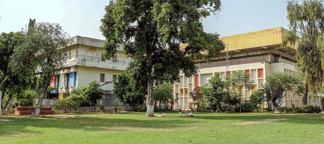 NCA